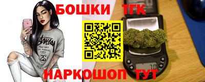 индика Тула
