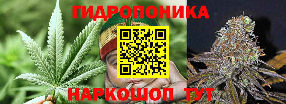 Марихуана White Widow Углич